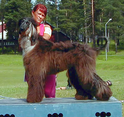 uppf: Lena & Gunnar Johansson, Luleå, äg: Elin Lindström, Luleå