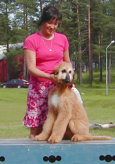 uppf: Lena & Gunnar Johansson, Luleå, äg: Louise Durhan, Kiruna