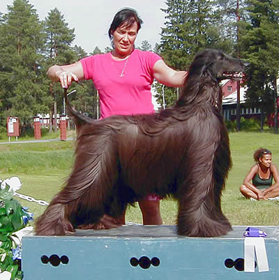 uppf & äg: Lena & Gunnar Johansson, Luleå