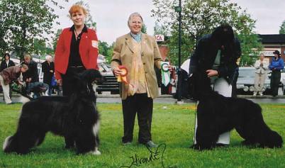 Råneå 4/7 2004