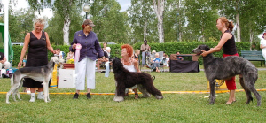 Ägare Ulrika Keinström, Malmberget