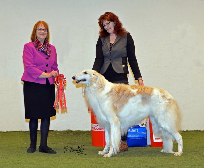 BEST IN SHOW Ch.Krilat Charadei 