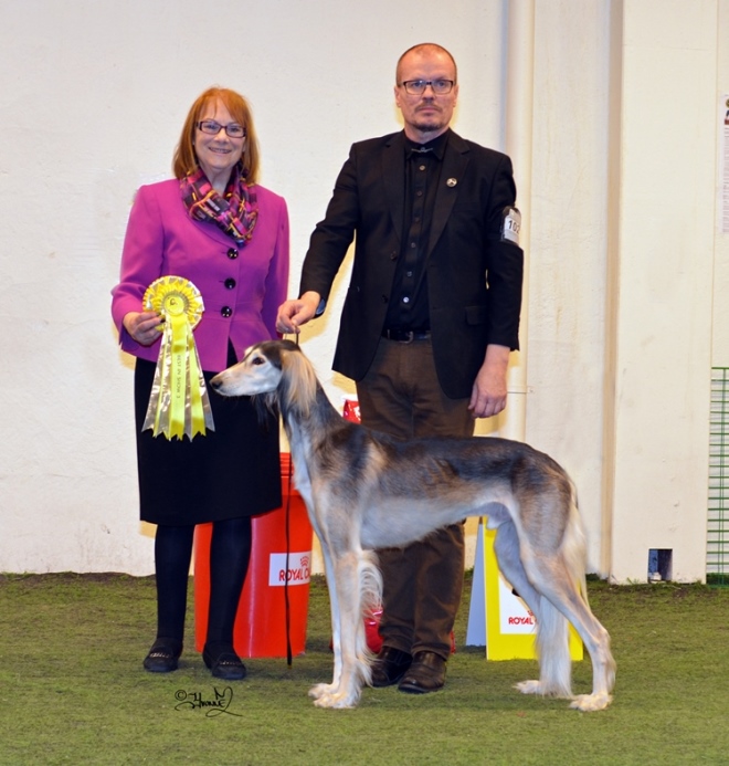 Best in Show 3 Majo's Earl-Grey