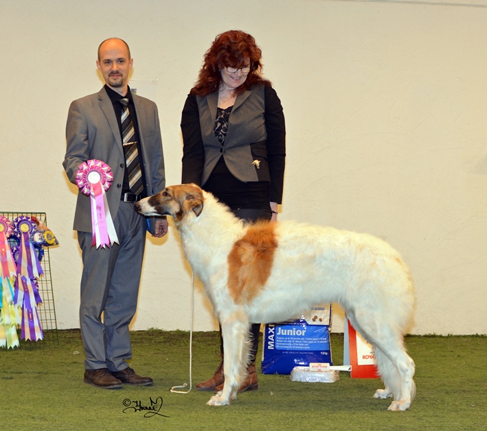 BIS Junior 1 Yegorov Zinfandel At Pomzoi