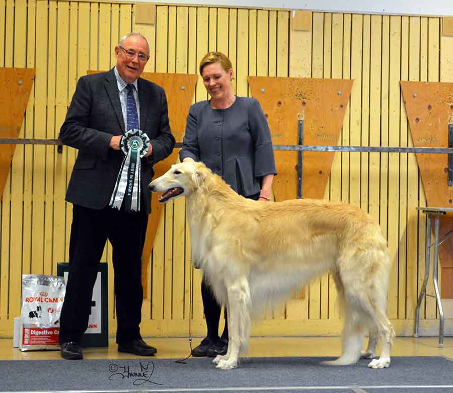 Best In show 4 Ch.Borscana Fortran 