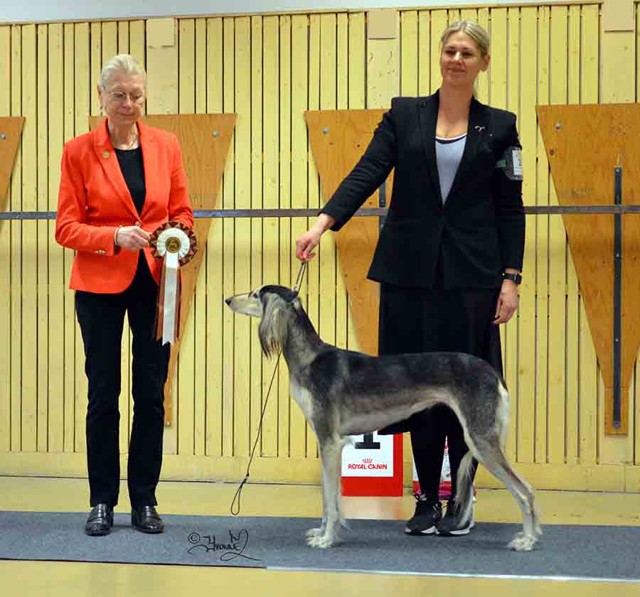 BIS BRUKS 1 SE LCCh.Xass Farah Grace