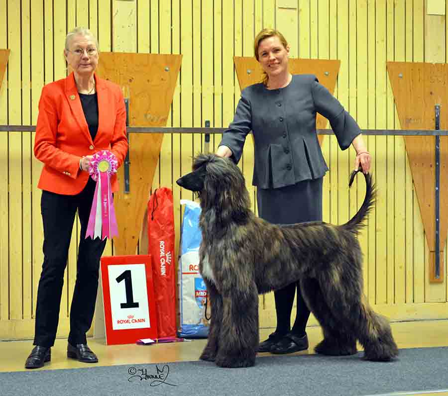 BIS Junior 1 Xenos Jadesh