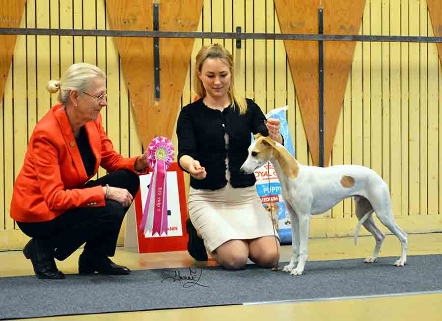 BIS Valp 1 Aaniston Hey I Know You