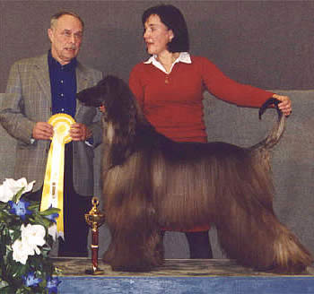 uppf: R. Aro, Finland / Ägare Lena & Gunnar Johansson & Mirka Väistö, Luleå