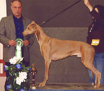 uppf: Bitte Ahrens & Astrid Jonsson / Ägare Erika Tönder, Vällingby