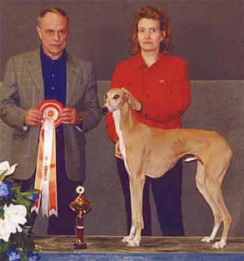 uppf: Corine Lundqvist, Frankrike / Ägare Susannah Thyni, Luleå