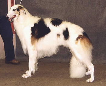 Ägare Nils & Ann-Margreth Hannu, Kiruna