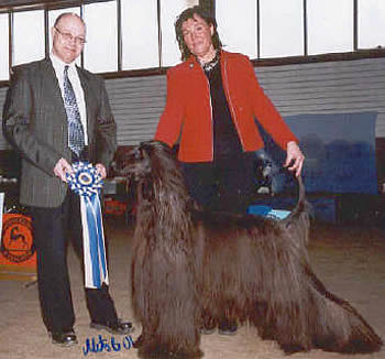 uppf & äg: Lena & Gunnar Johansson, Luleå