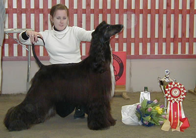 Uppfödare Marie-Louise Tell-Collinge, ägare Camilla Tell-Collinge, Väddö & uppfödaren
