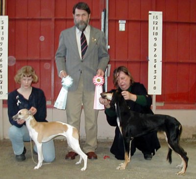 Uppfödare Elizabette Kallin-Forssberg & Bo Forssberg, Boden, ägare uppf & Matilda Lampinen, Boden