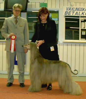 uppf: Lena & Gunnar Johansson, Luleå äg: Christina Holmström, Arvidsjaur