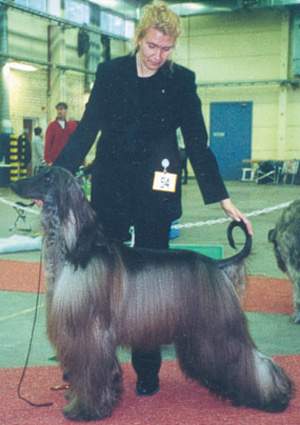 äg: Lena & Gunnar Johansson, Luleå