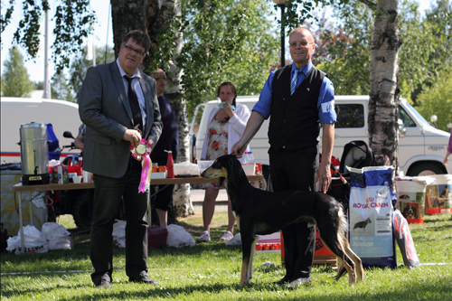 Ägare Yvonne Oskarsson, Luleå