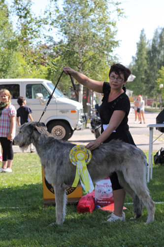 Ägare Lundberg Britt, Piteå