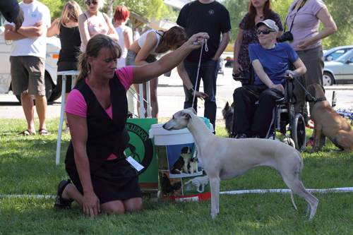 Ägare Andersson Ursula, Frösön