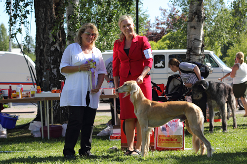 Ägare Niemi Ann-Sofie, Haparanda
