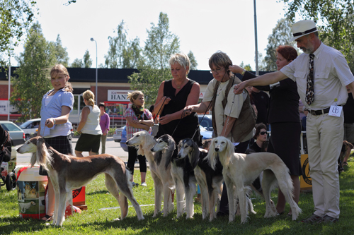 Ägare Olkinuora Eeva, Skelleftehamn