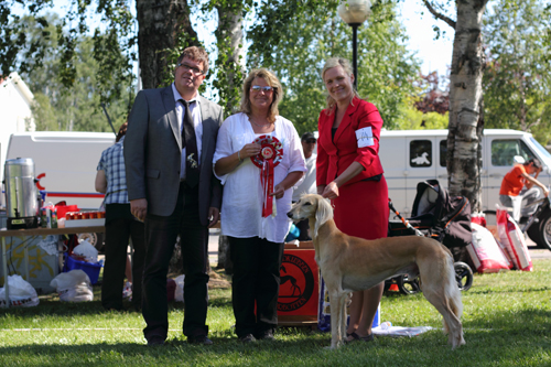 Ägare Niemi Ann-Sofie, Haparanda