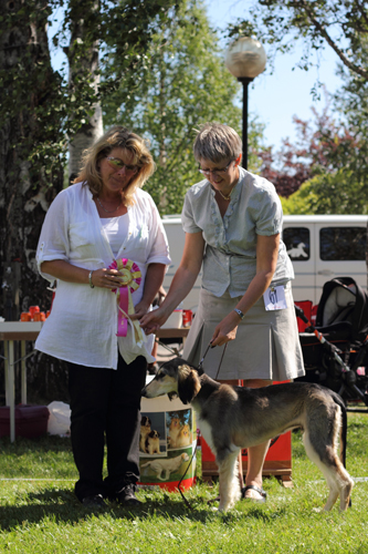 Ägare Hedvall Inga, Älandsbro