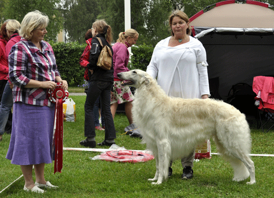 ägare Lena Hamel, Sollentuna