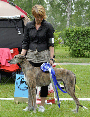 ägare Inger Lise Valstad & Karl-Petter Jacobsen, Mosjã, Norge