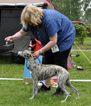 Ägare Sofia Sandström Byske