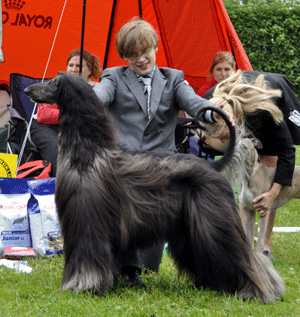 ägare Lena & Gunnar Johansson, Luleå