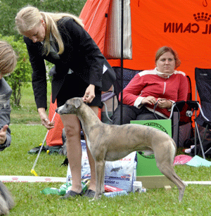 ägare Henriksson Ethel, Umeå