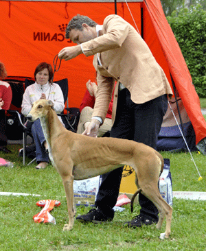 ägare Annalena Almgren, Ljugarn