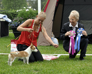Ägare Frida Blom, Iggesund