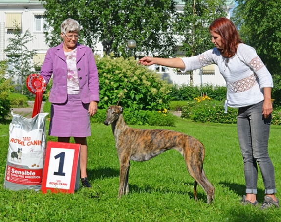 BEST IN SHOW Ch Rabilargo's Catila