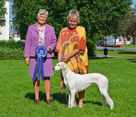 BIS-2 Ch Khalils Wesper Wasimah