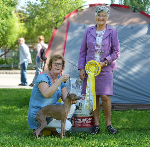 BIS-3 Ch Northgates Egoiste Exess