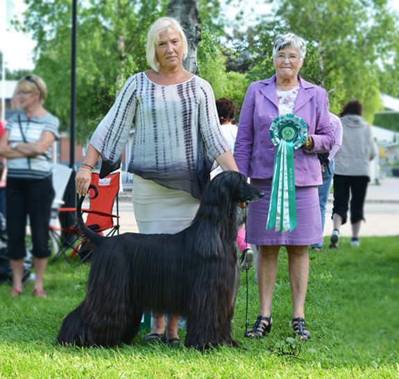 BIS-4 Ch Oprah Gandamak