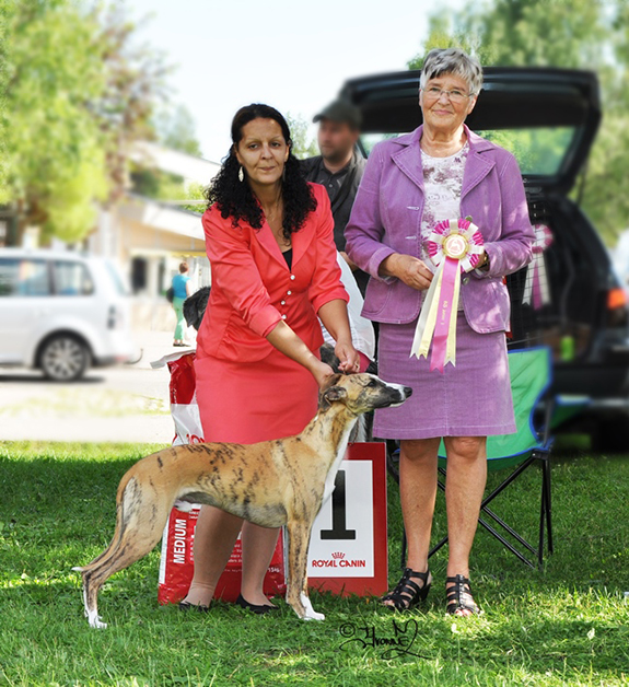 BIS JUNIOR Adagio Olive Drab