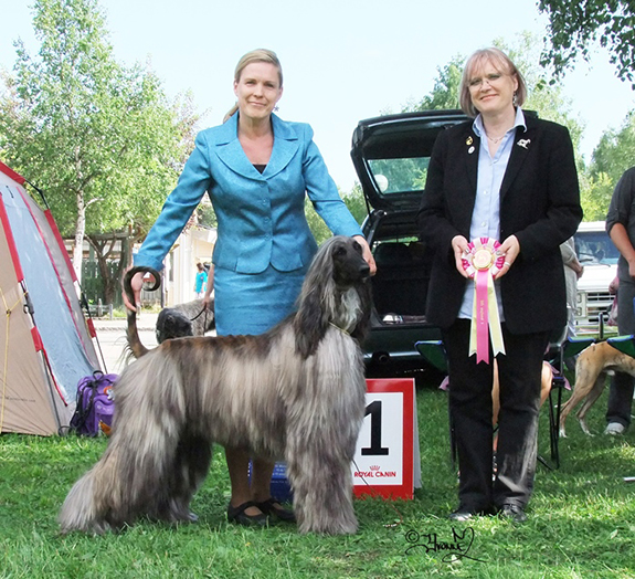 BIS UNGHUND Celestian I Want It All