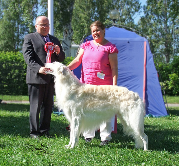 BEST IN SHOW Ch.Borzowski's Phenomenon