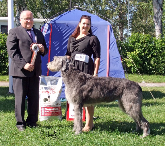 BIS BRUKSHUND Ch.Oscailte Aon Oria