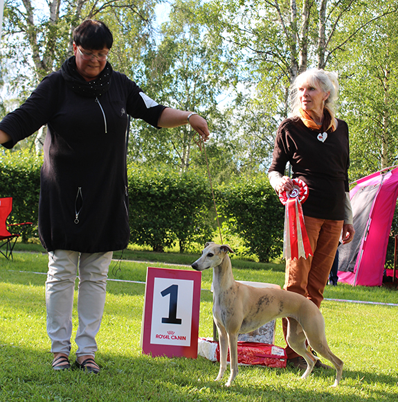 BEST IN SHOW Twyborn Jeanne d'Arc