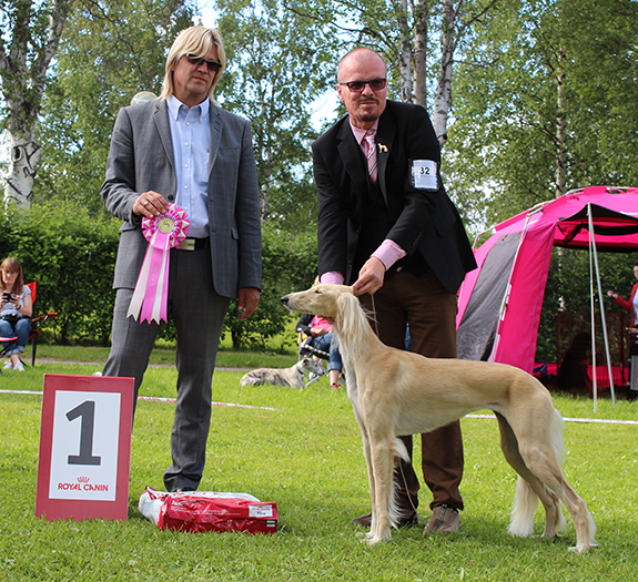 BIS JUNIOR Majo's Golden Sandie