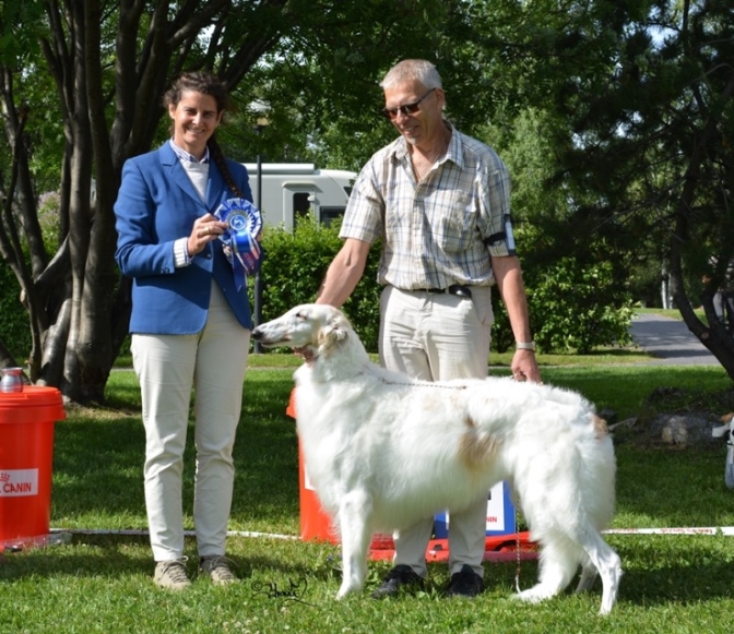 Best in Show 2 Ch.Krilat Chara