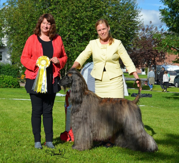Best in Show 3 Ch.Celestian I Want It All
