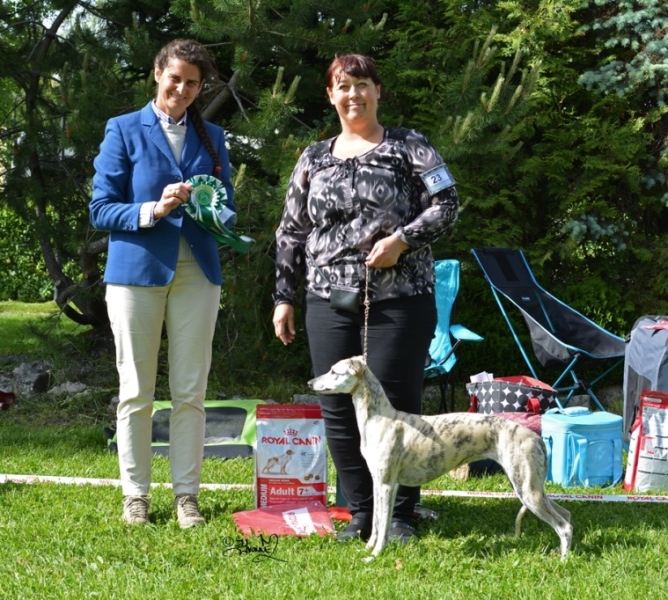 Best In show 4 Bluefrost Afrodite´s Charmy