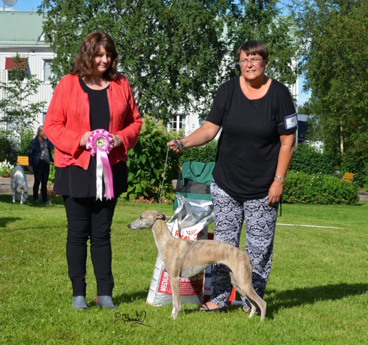 BIS Unghund 1 Play A While Roseland