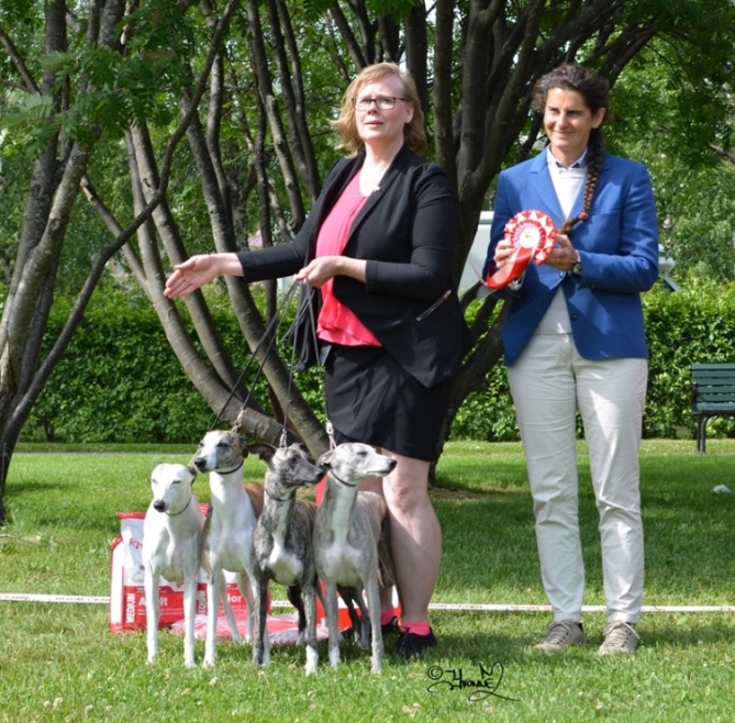 BIS Uppfödargrupp 2 Kennel Khalil